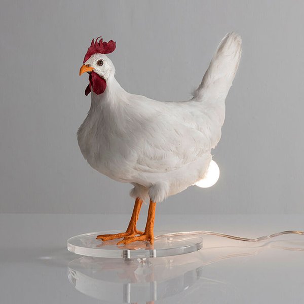 Chicken lamp